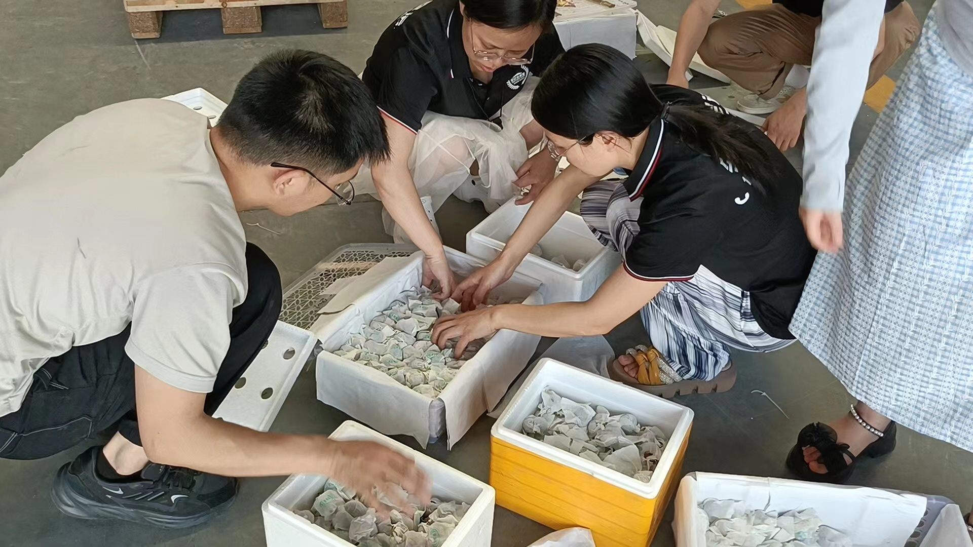 微信图片_20240605174920.jpg
